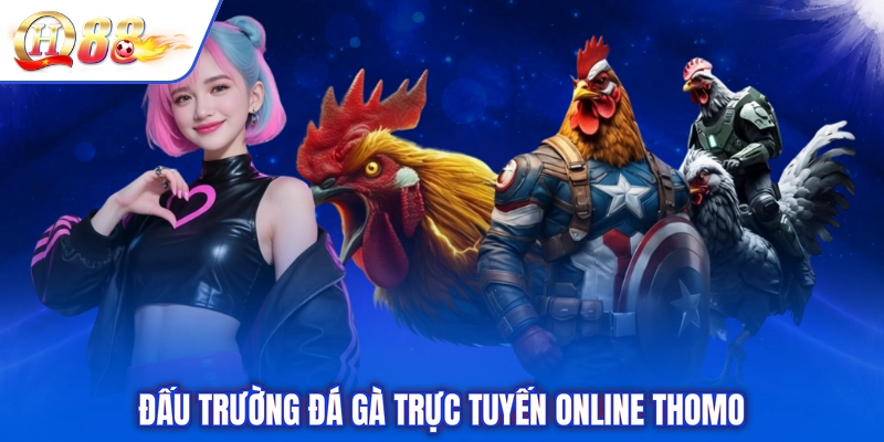 Đấu trường đá gà trực tuyến online Thomo